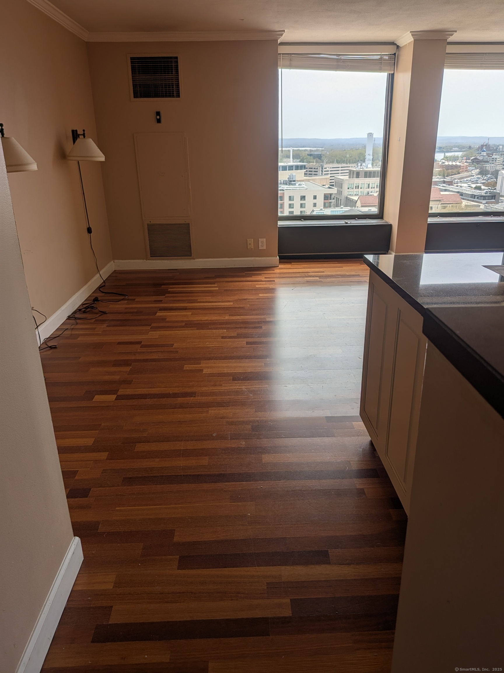 1 Gold Street, Unit 16F Hartford, CT 06103 - Photo 5 of 20 a view of hallway with window and wooden floor