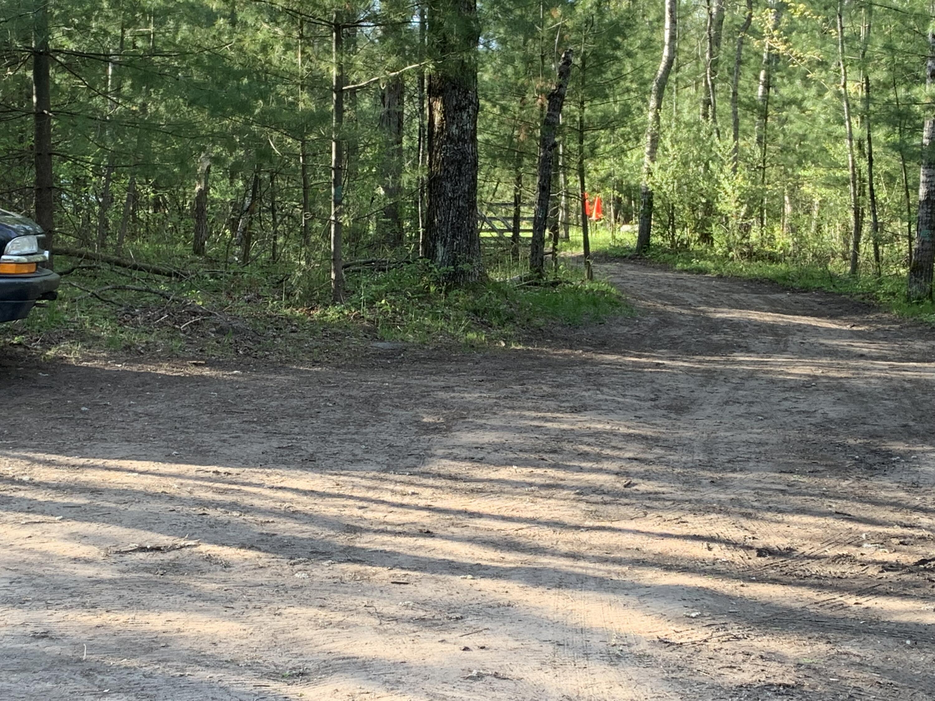 5682 North Skookum Road Luther, MI 49656 - Photo 11 of 33 IMG_5565