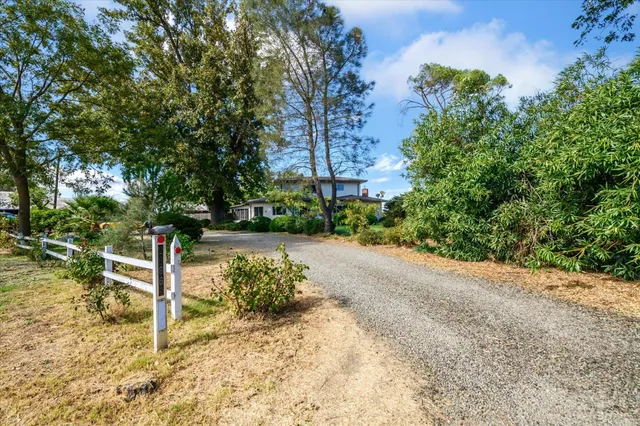 a view of a street with large trees