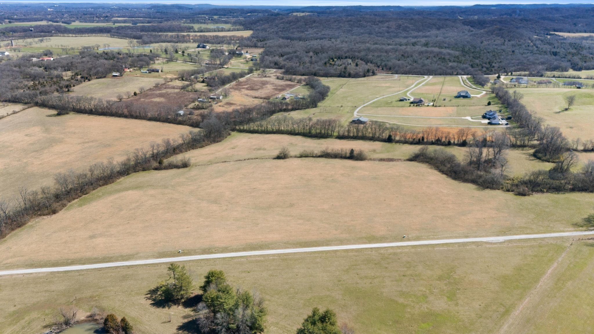 2041 Trilogy Lane Mount Pleasant, TN 38474 - Photo 3 of 6