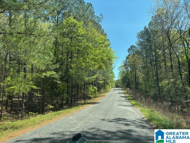 849 Cornelia Road Brierfield, AL 35035 - Photo 3 of 34