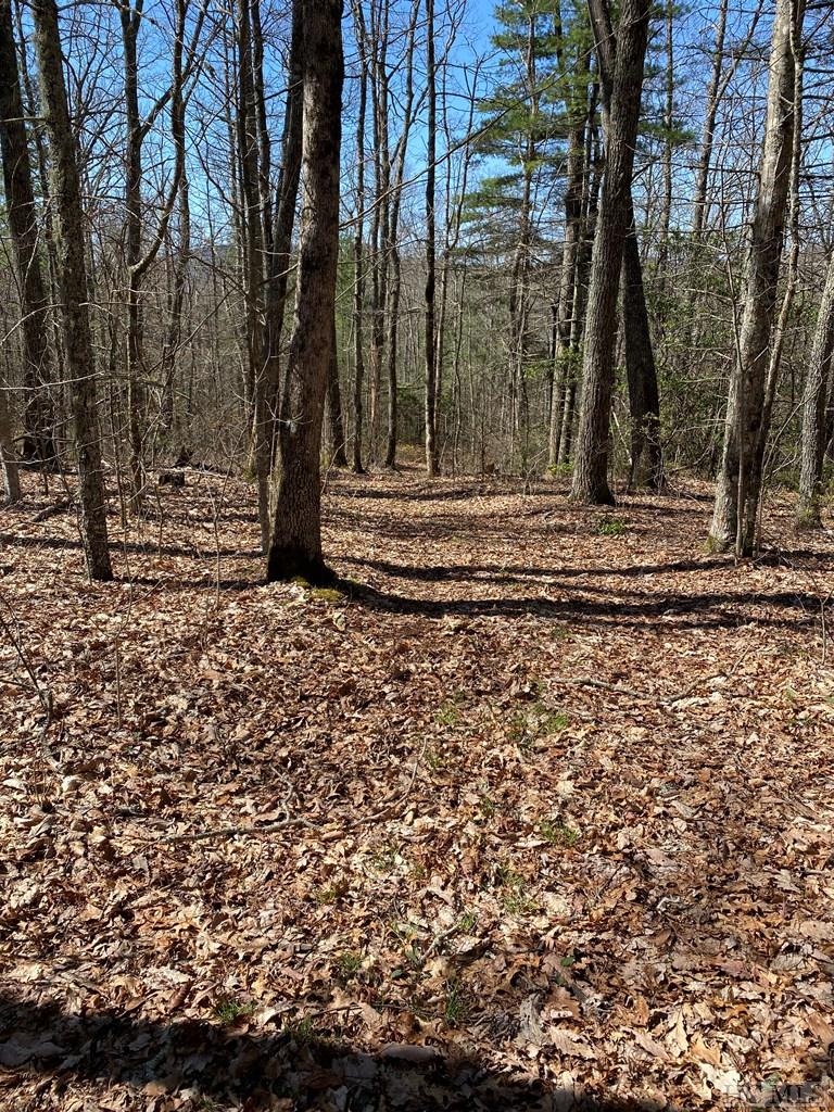 0 Salt Rock Road Highlands, NC 28741 - Photo 9 of 21 Gallery Image 9