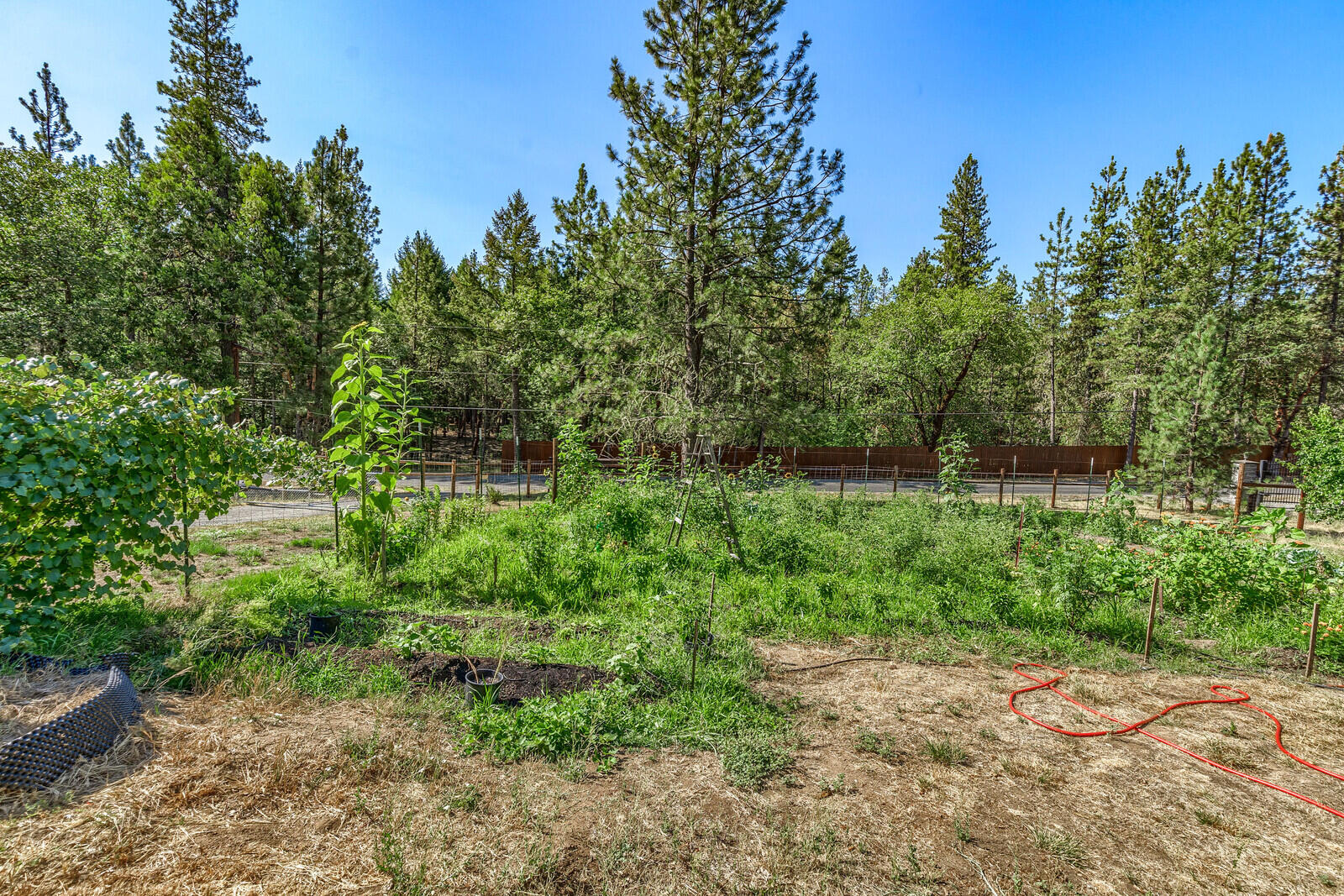 500 Kincaid Road Williams, OR 97544 - Photo 60 of 74 39_KR_39_mls