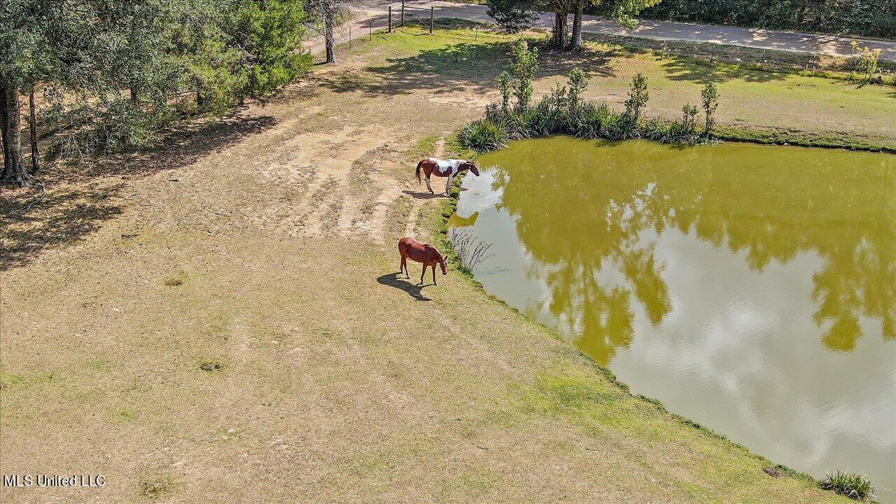 2824 McFarland Road Raymond, MS 39154 - Photo 50 of 91 50-2824 McFarland Rd