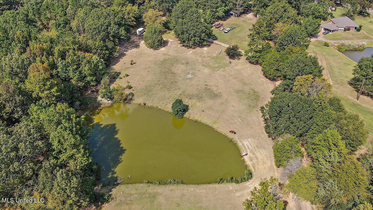 2824 McFarland Road Raymond, MS 39154 - Photo 51 of 91 51-2824 McFarland Rd