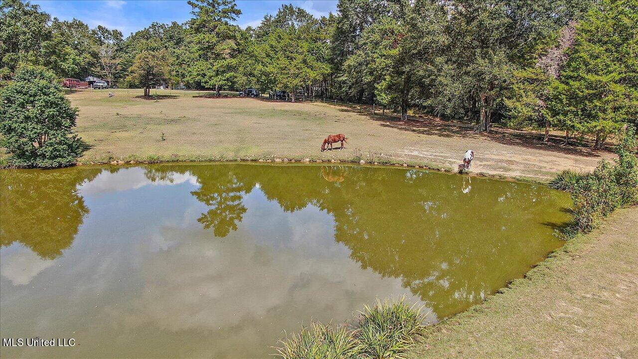2824 McFarland Road Raymond, MS 39154 - Photo 52 of 91 52-2824 McFarland Rd