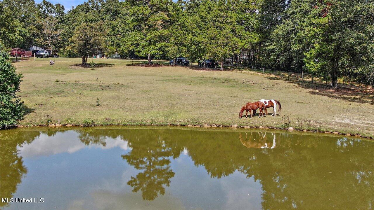 2824 McFarland Road Raymond, MS 39154 - Photo 54 of 91 54-2824 McFarland Rd