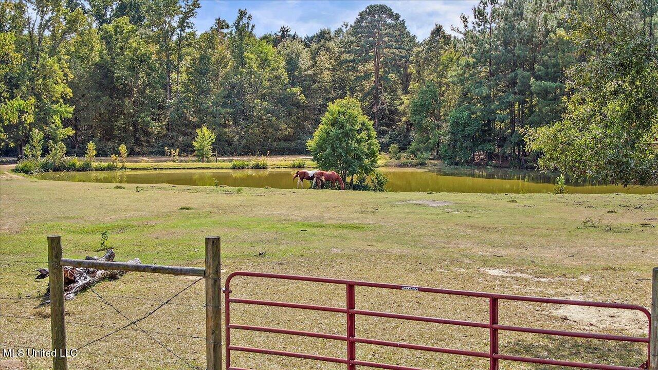 2824 McFarland Road Raymond, MS 39154 - Photo 75 of 91 76-2824 McFarland Rd