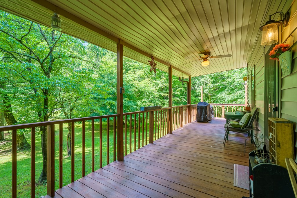 1643 Lucius Road Cherry Log, GA 30522 - Photo 12 of 45