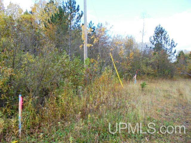 Tbd L P Walsh Road Ontonagon, MI 49953 - Photo 12 of 13