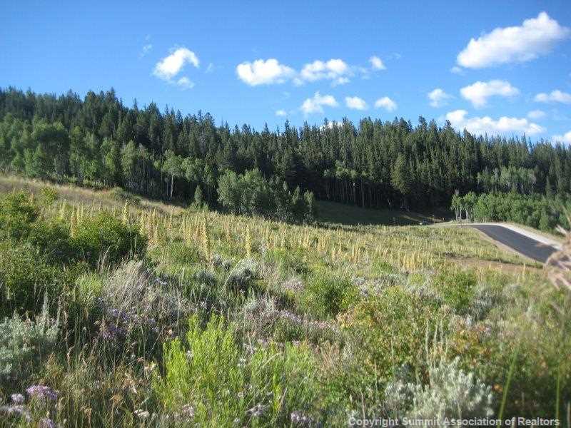 155 Angler Mountain Ranch Road Silverthorne, CO 80498 - Photo 4 of 7 View.