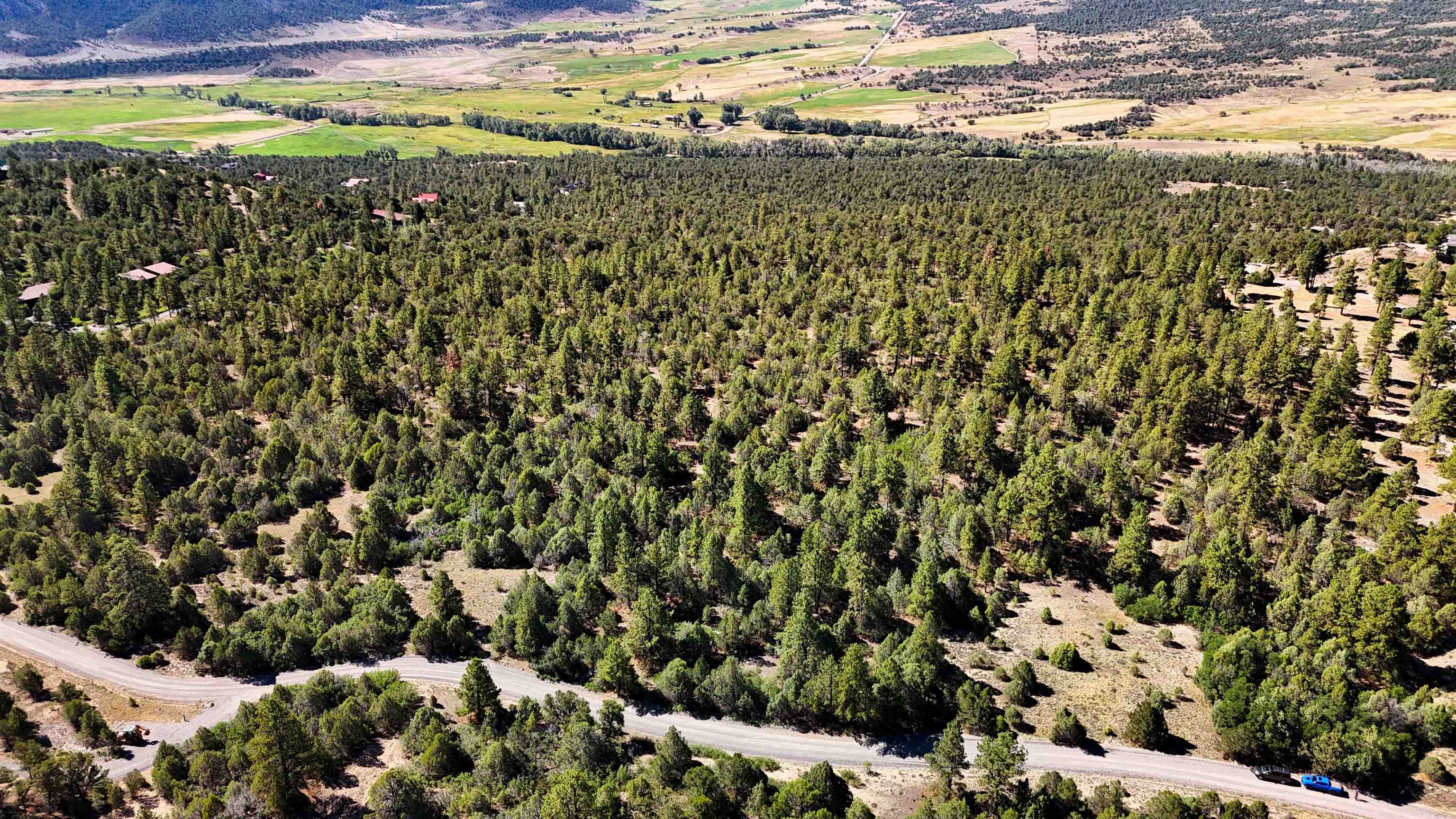 Tbd Old Relay Road Ridgway, CO 81432 - Photo 8 of 17 Gallery Image 8