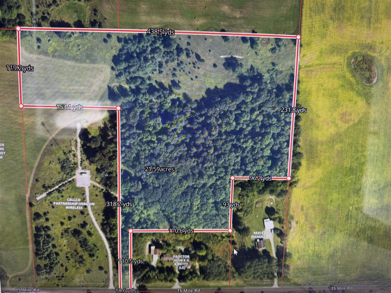 15 15 Mile Road Leroy, MI 49655 - Photo 4 of 14