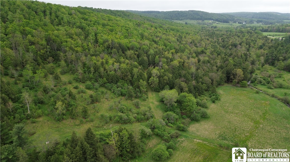 Fulmer Valley Road Wellsville, NY 14895 - Photo 17 of 49