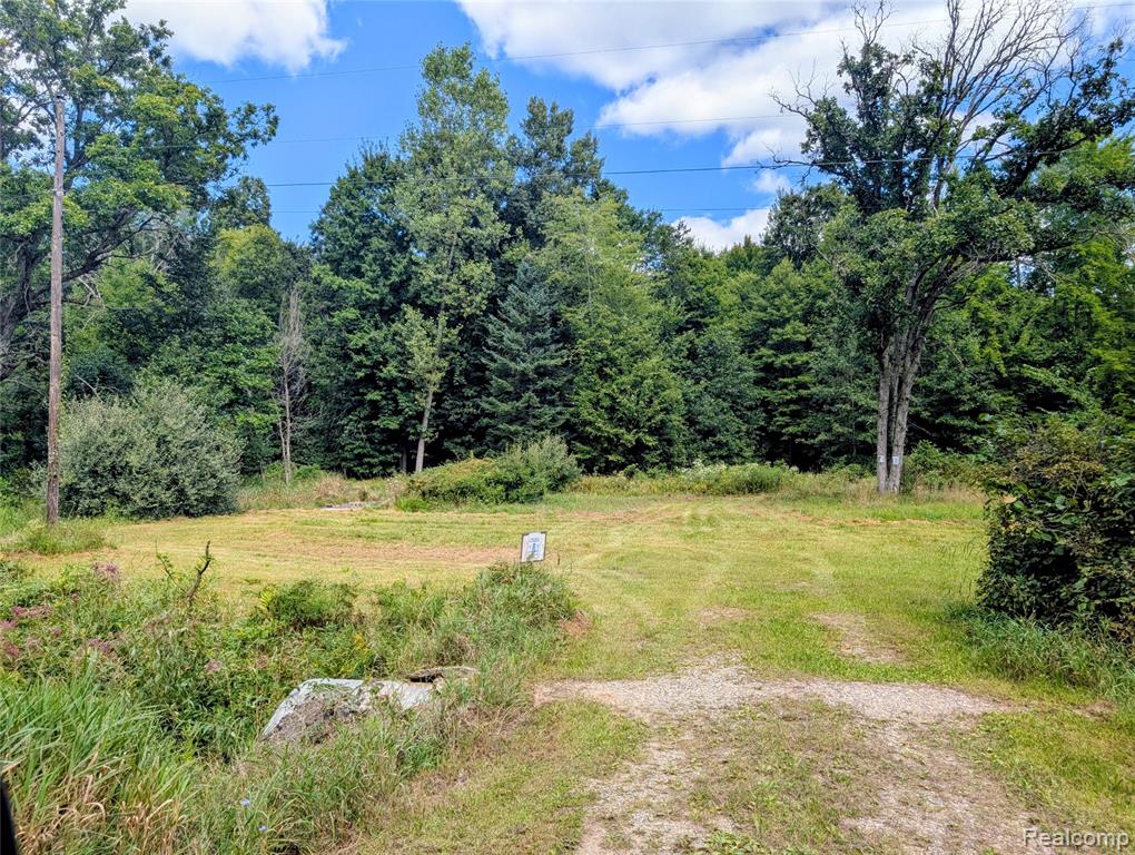 0 South Maywood Road Ashley, MI 48806 - Photo 4 of 32