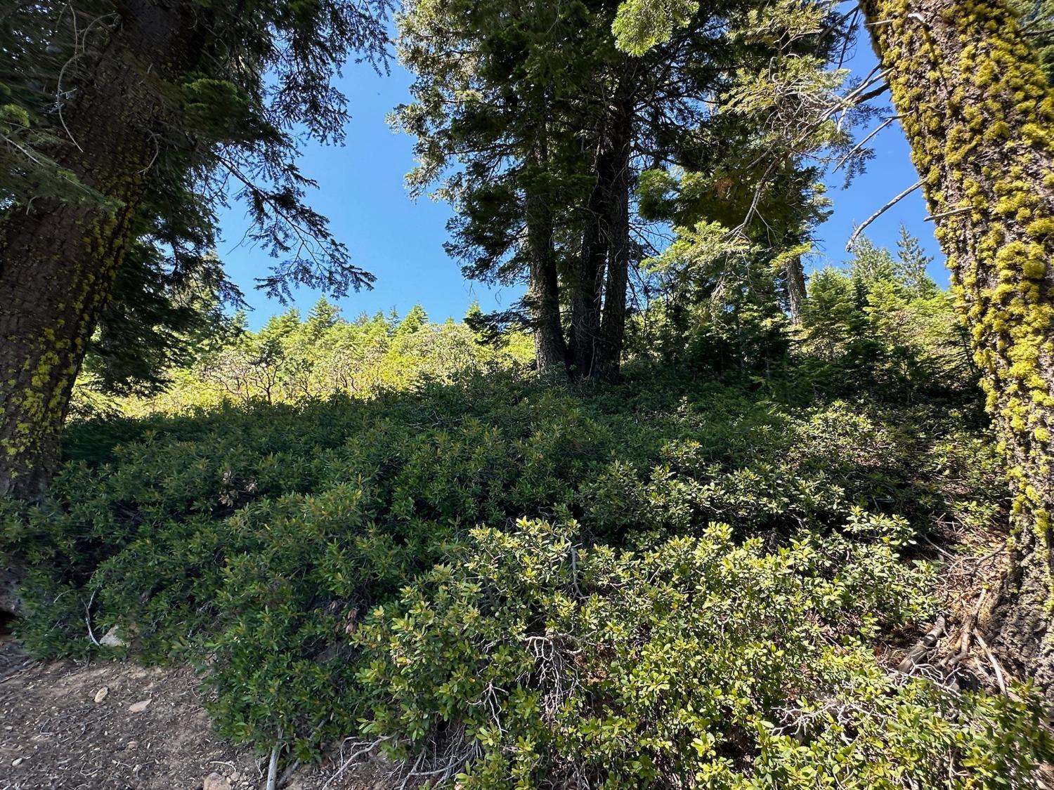 25609 Hoosier Road Nevada City, CA 95959 - Photo 28 of 44