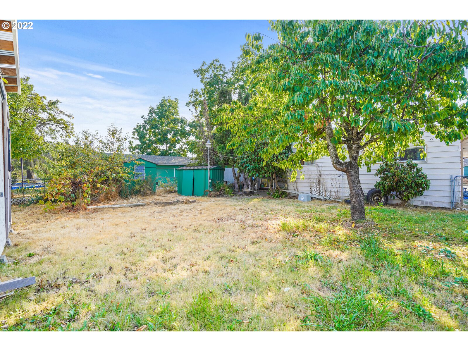 1779 Carroll Street Lebanon, OR 97355 - Photo 23 of 27 a backyard of a house with a trees and plants