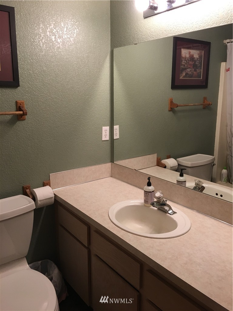 18234 Tamara Lane Southwest Rochester, WA 98579 - Photo 11 of 25 a bathroom with a sink toilet and a mirror
