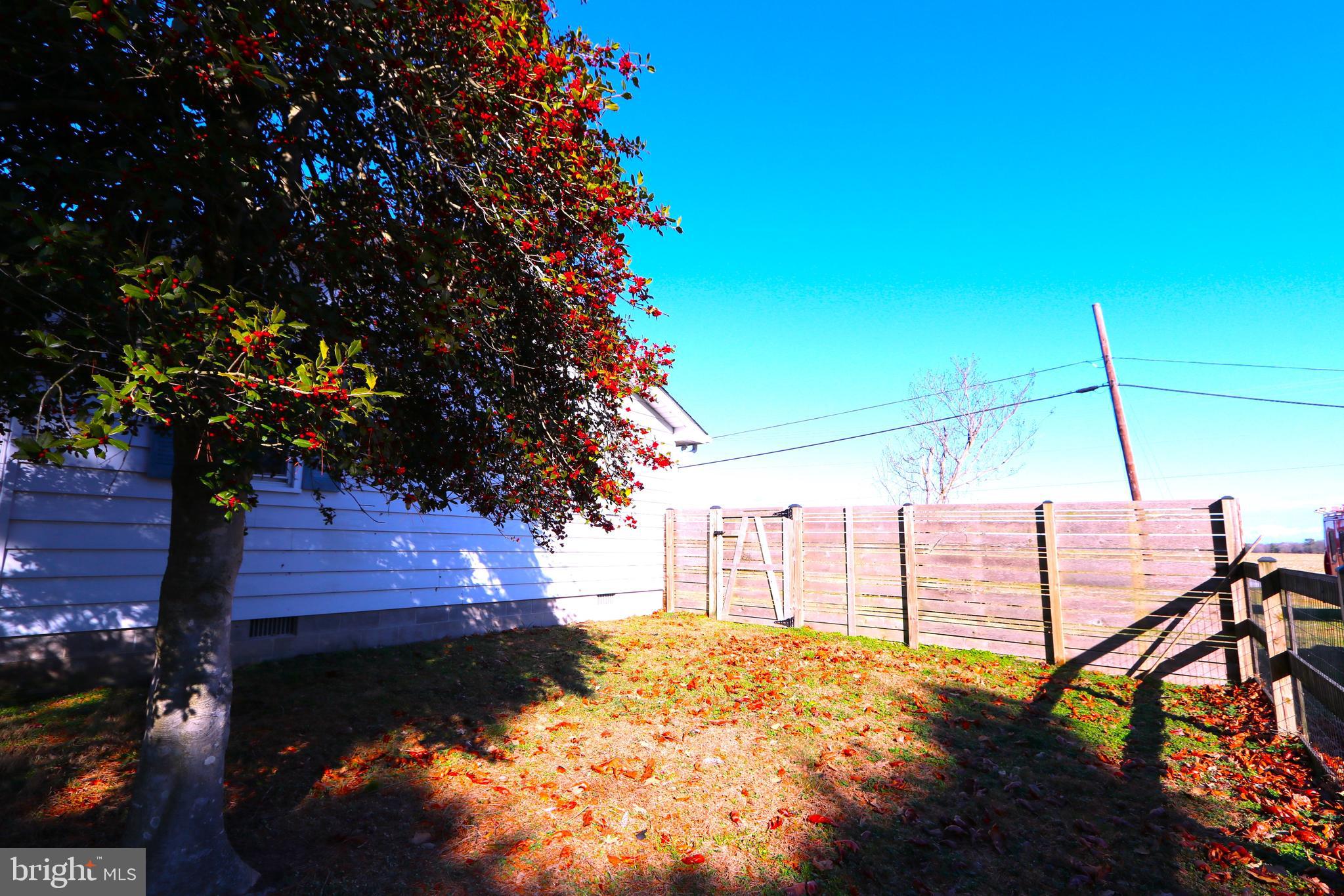 12658 Oakland Road Ridgely, MD 21660 - Photo 30 of 54 Gallery Image 30