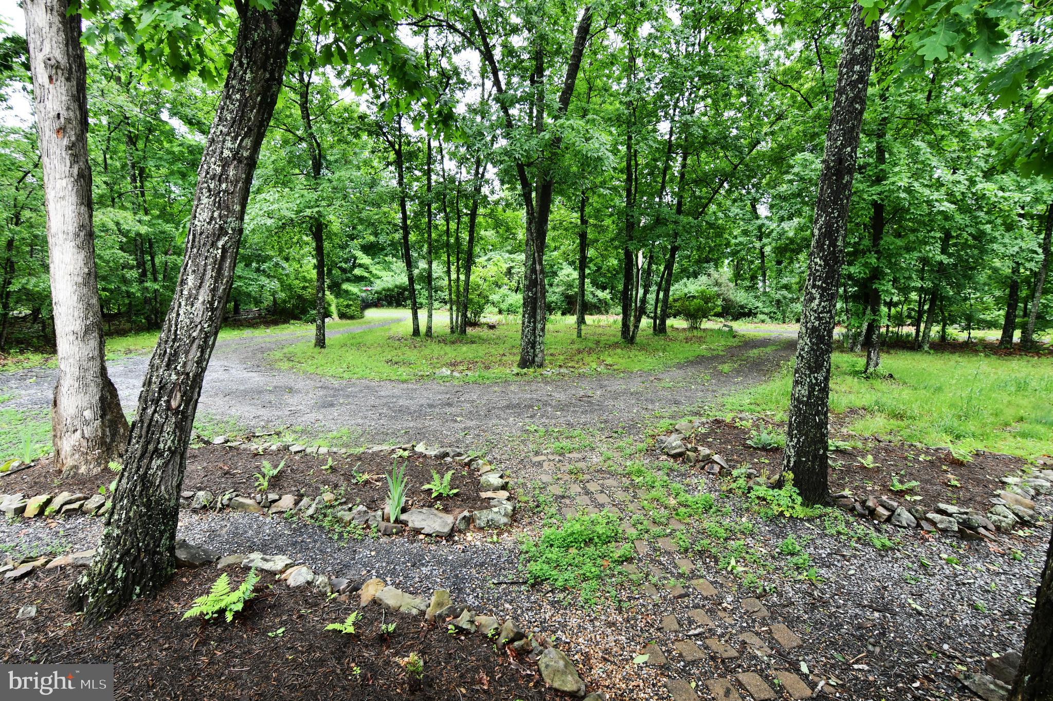 513 Cardinal Drive Rio, WV 26755 - Photo 9 of 55 Front yard with drive