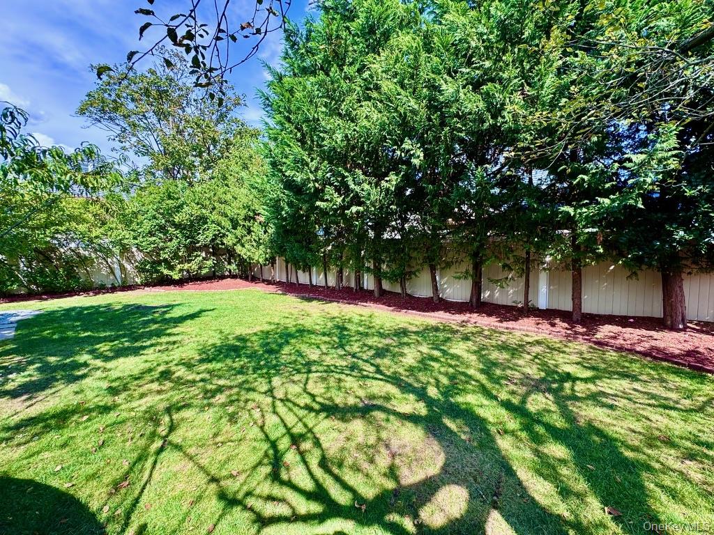 62 Walnut Road Inwood, NY 11096 - Photo 4 of 31 a view of a garden with a tree