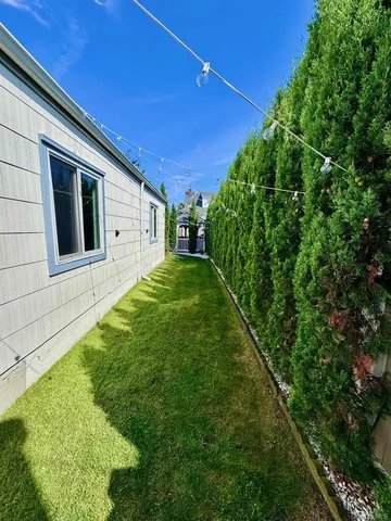 a backyard of a house with plants and large tree