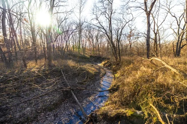 $1,499,000 | Jansen Road, Brookfield, MO 64628