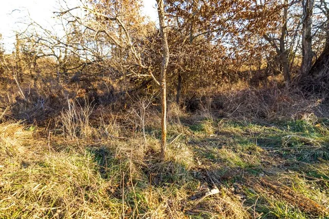 $1,499,000 | Jansen Road, Brookfield, MO 64628