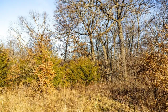 $1,499,000 | Jansen Road, Brookfield, MO 64628