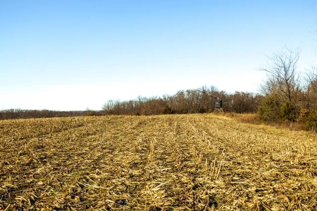 $1,499,000 | Jansen Road, Brookfield, MO 64628