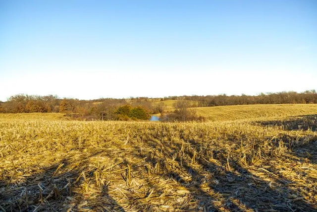 $1,499,000 | Jansen Road, Brookfield, MO 64628