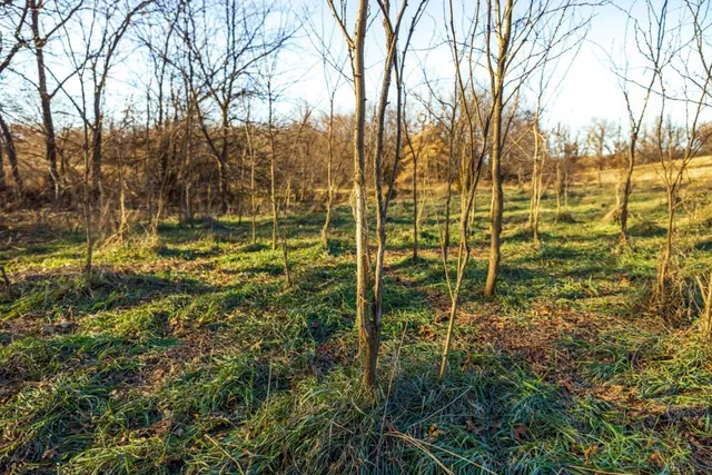 $1,499,000 | Jansen Road, Brookfield, MO 64628