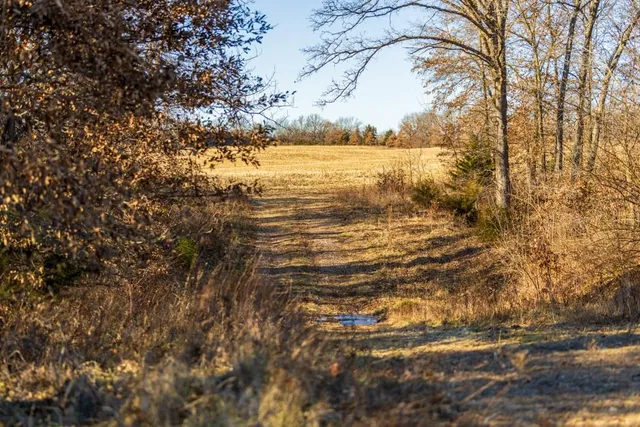 $1,499,000 | Jansen Road, Brookfield, MO 64628