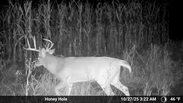 $1,499,000 | Jansen Road, Brookfield, MO 64628