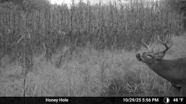 $1,499,000 | Jansen Road, Brookfield, MO 64628