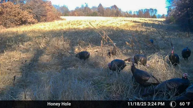 $1,499,000 | Jansen Road, Brookfield, MO 64628