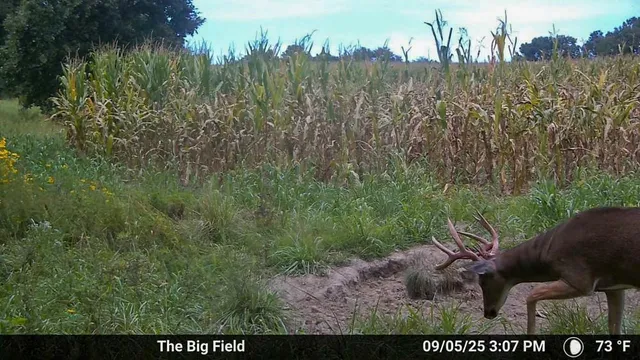 $1,499,000 | Jansen Road, Brookfield, MO 64628