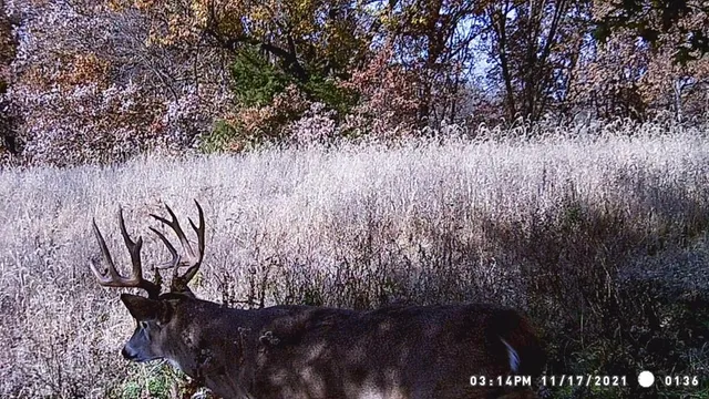 $1,499,000 | Jansen Road, Brookfield, MO 64628