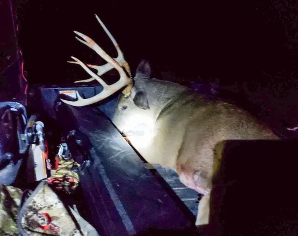 $1,499,000 | Jansen Road, Brookfield, MO 64628