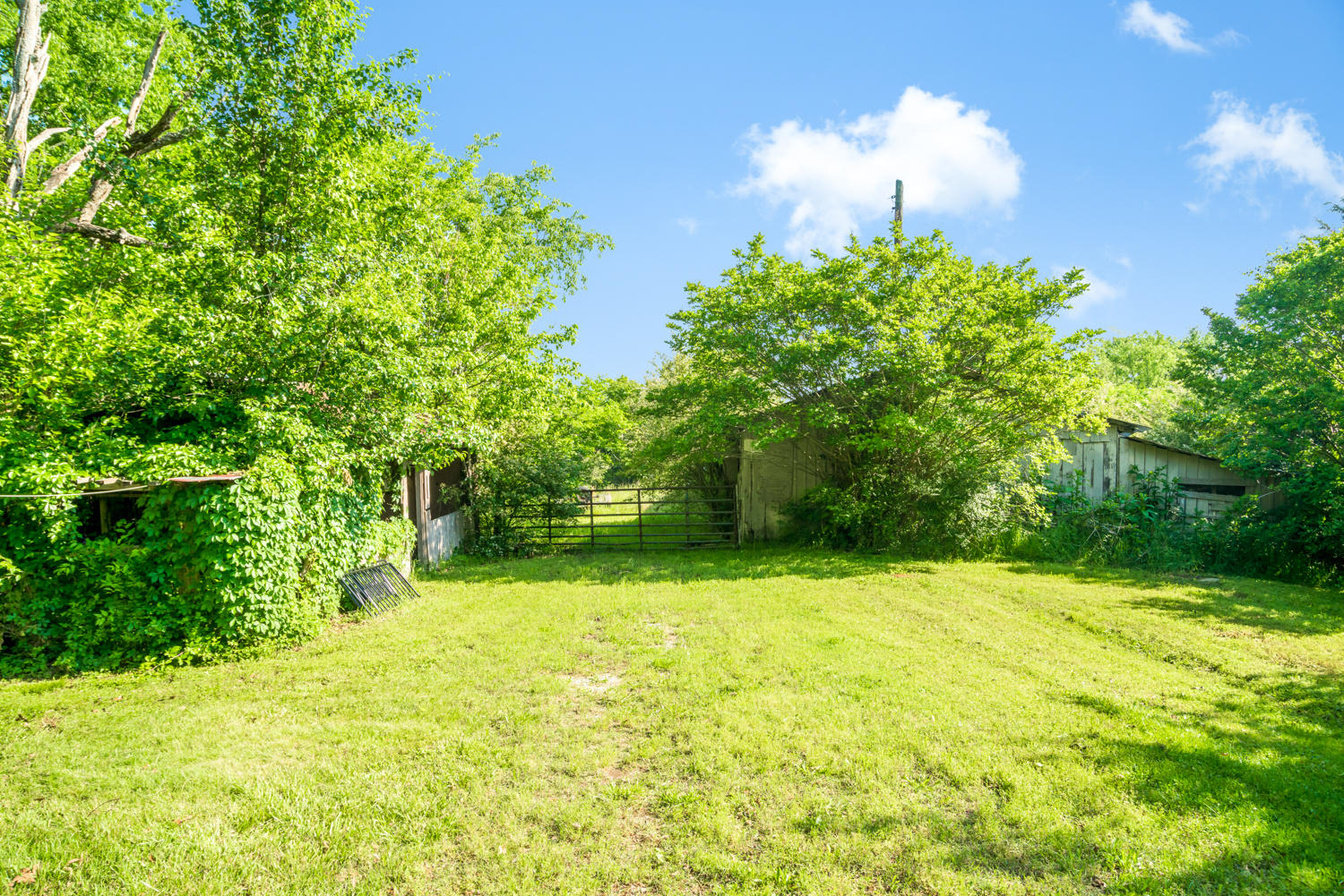 1660 Saunders Road Ringgold, GA 30736 - Photo 14 of 29 1660_Saunders_Rd_10