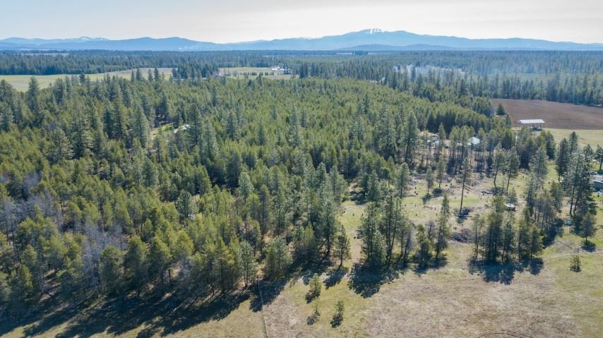 2518 West Mason Road Deer Park, WA 99006 - Photo 17 of 20 Gallery Image 17