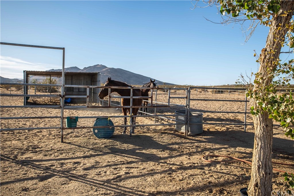 62401 Sunflower Road Joshua Tree, CA 92252 - Photo 45 of 75 a front view of a house with a yard
