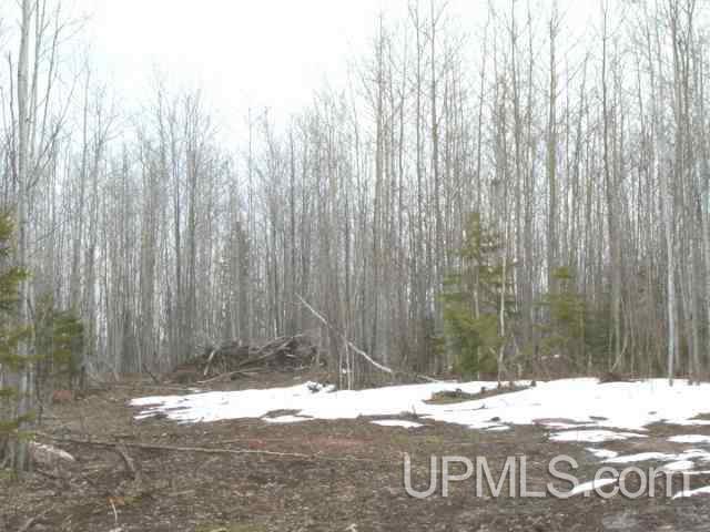 A & B-1 Bolo Road, Unit A & B1 Ontonagon, MI 49953 - Photo 6 of 6