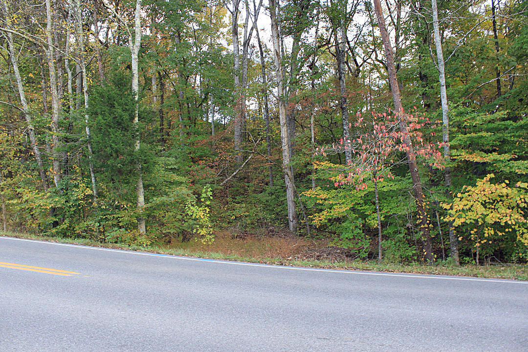 Lot 1 Jayell Road Sevierville, TN 37862 - Photo 1 of 1 IMG_5034.JPG