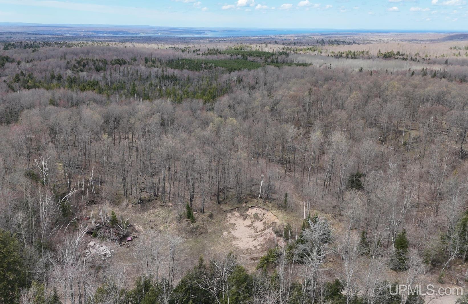 Tbdne Dog Patch Road Lanse, MI 49946 - Photo 5 of 23