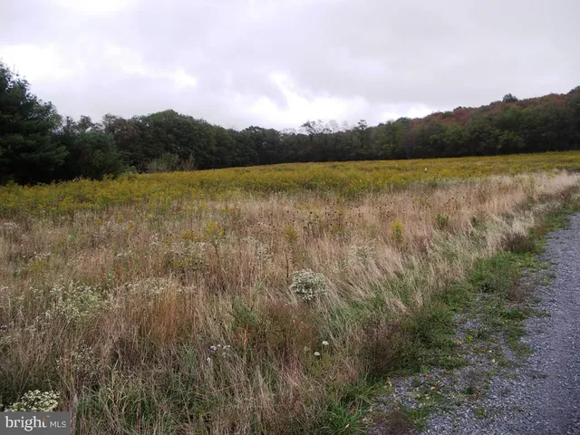 a view of a green field with lots of bushes