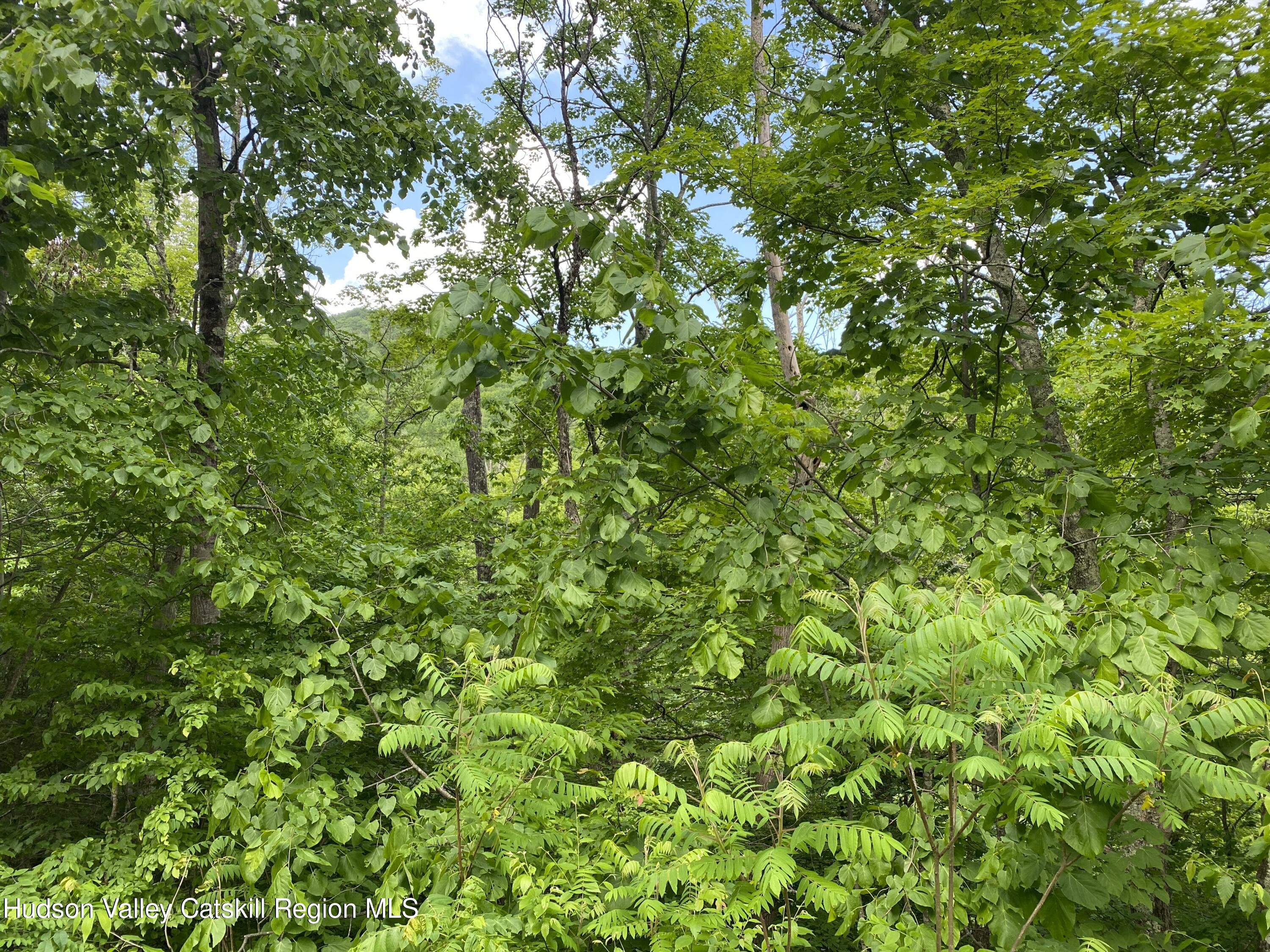 121 Fox Hollow Road Shandaken, NY 12480 - Photo 11 of 15 -