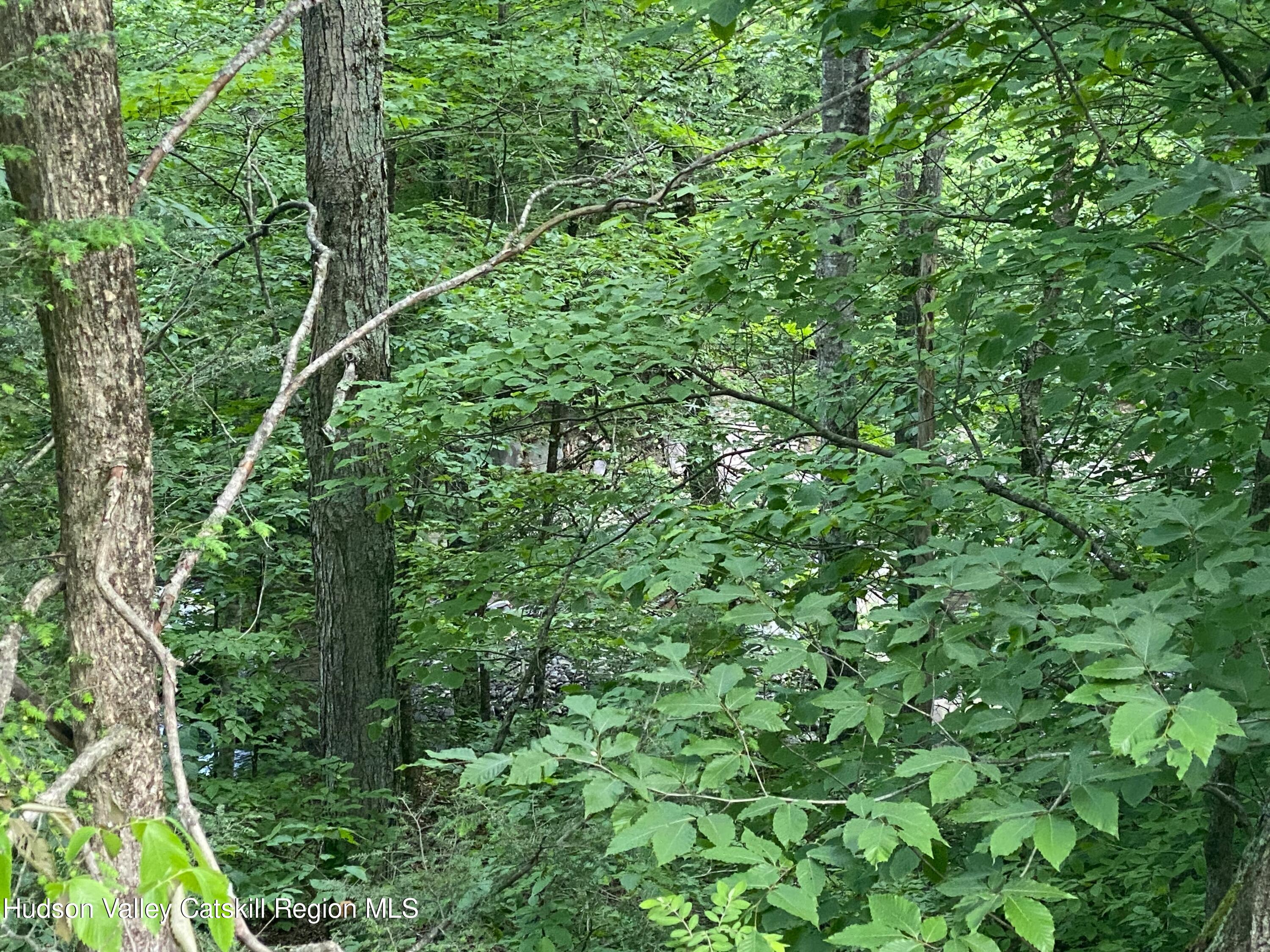 121 Fox Hollow Road Shandaken, NY 12480 - Photo 12 of 15 -