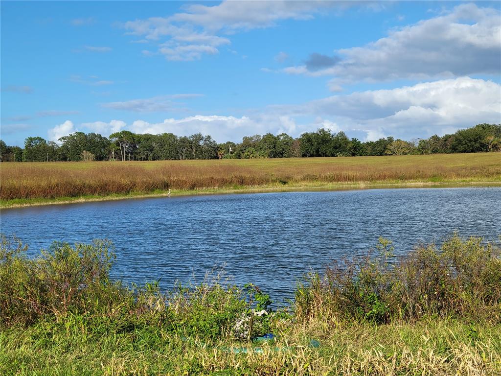 Southeast 74th Lane Road, Unit 6EAST Ocklawaha, FL 32179 - Photo 12 of 44