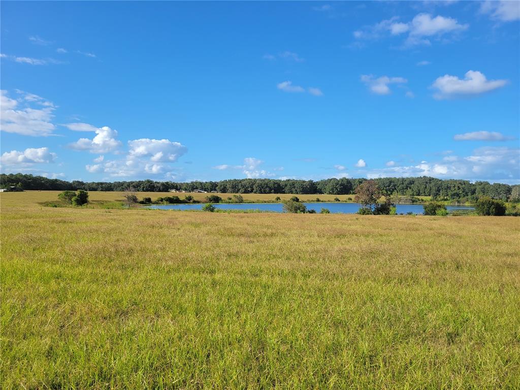 Southeast 74th Lane Road, Unit 6EAST Ocklawaha, FL 32179 - Photo 14 of 44